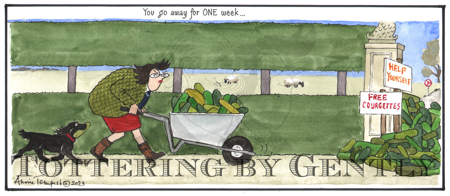 CL 1521 Go away for ONE week