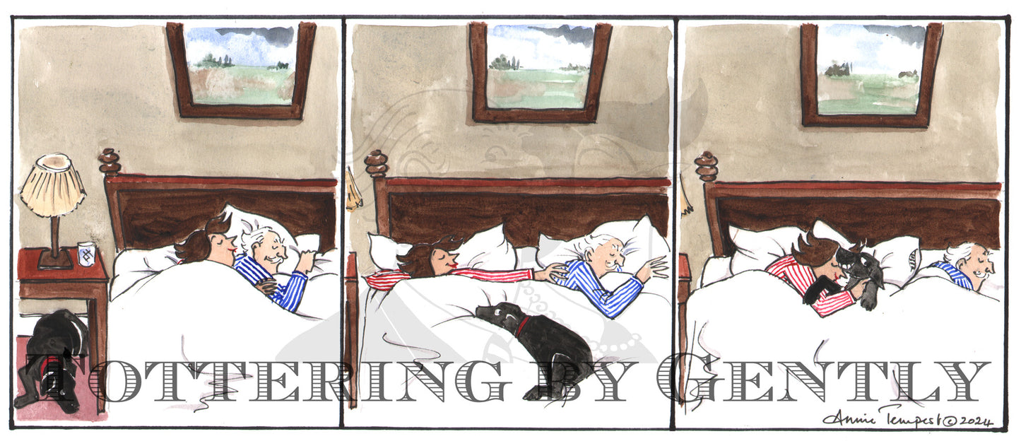 CL 1537 Dogs nightly progress