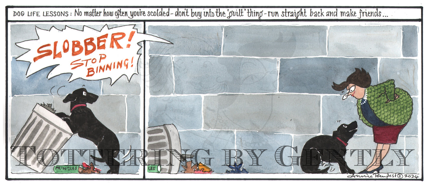 CL 1553 Slobber stop binning