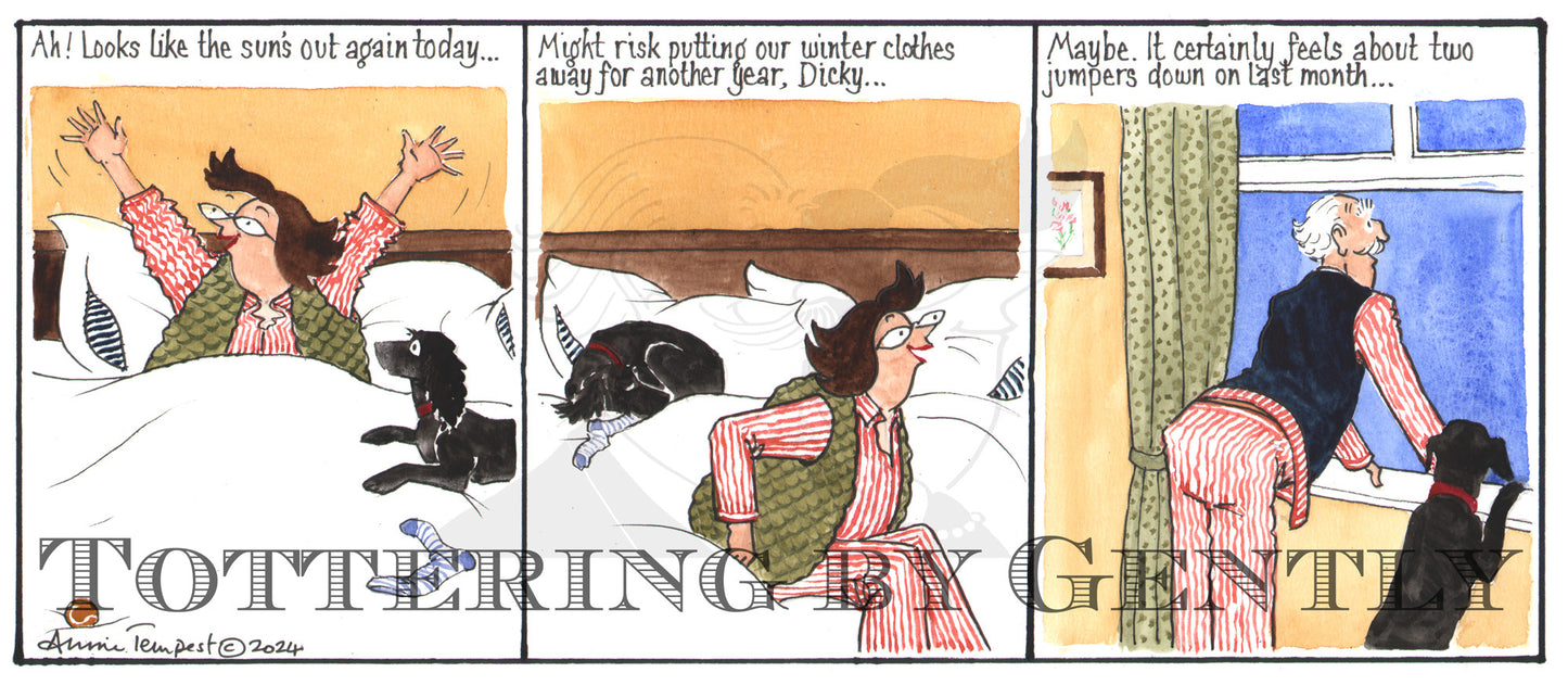 CL 1554 Looks like the sun's out again