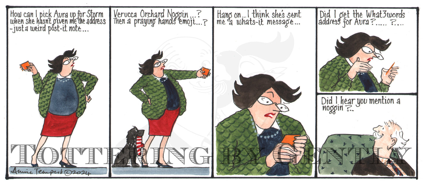 CL 1558 What 3 words