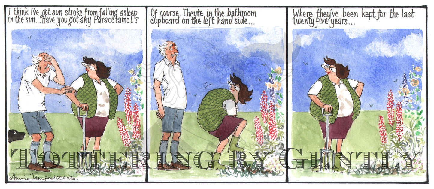 CL 1561 Where's the paracetamol