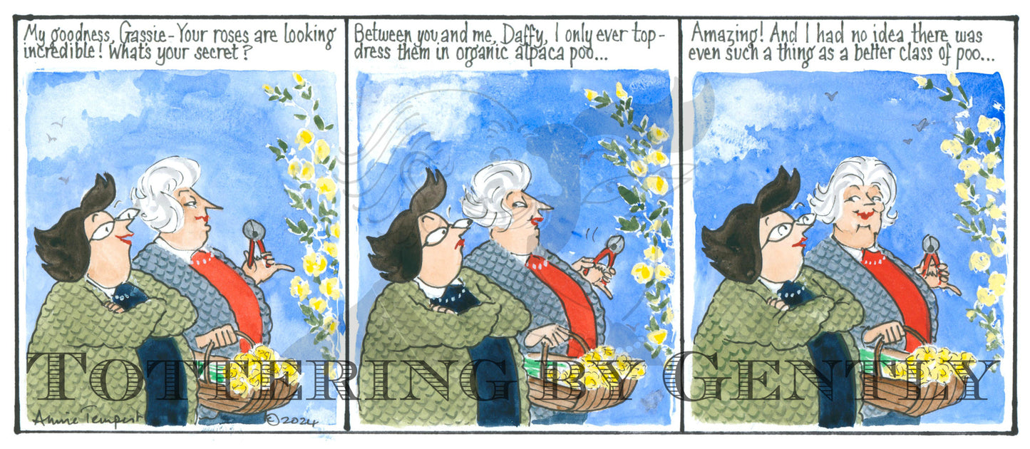 CL 1565 Better class of poo