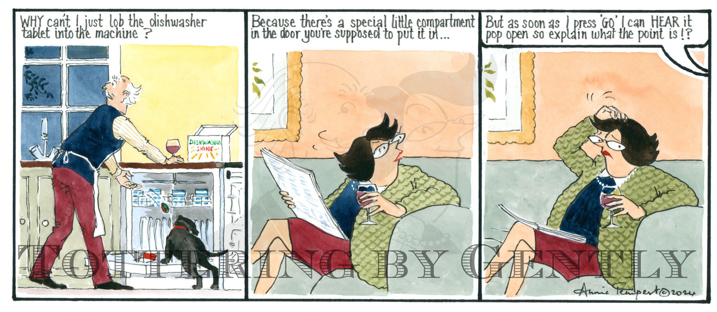 CL 1571 Dishwasher tablet compartment