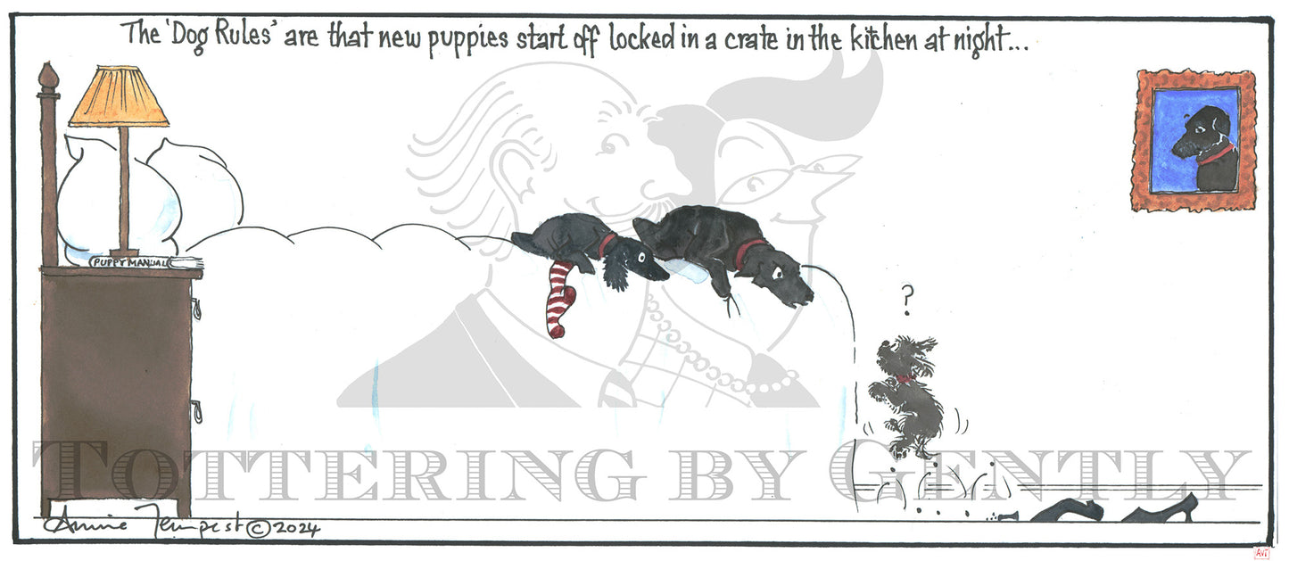 CL 1579 Twiglet jumping up to bed