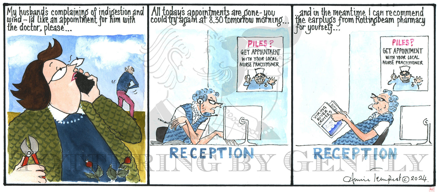 CL 1580 Doctors earplugs