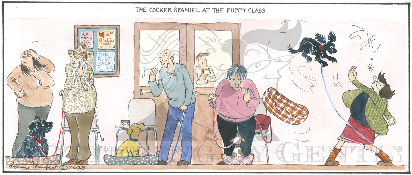 CL 1592 Spaniel at Puppy class