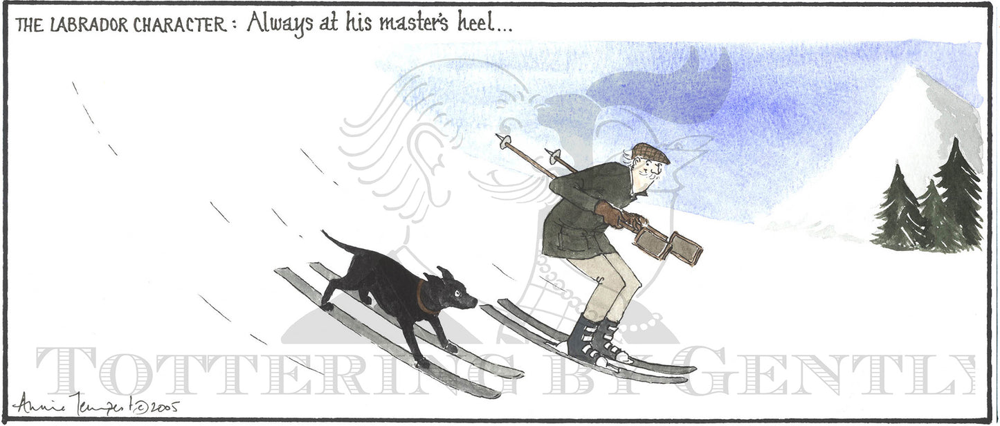 CL579 Labrador character Skiing