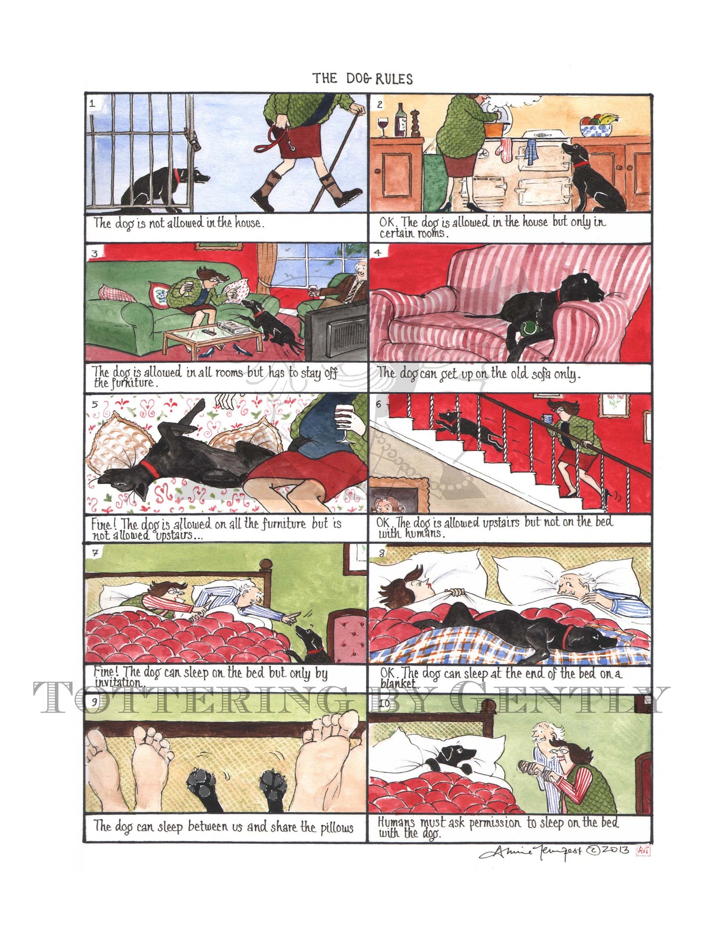S1226 The Dog Rules