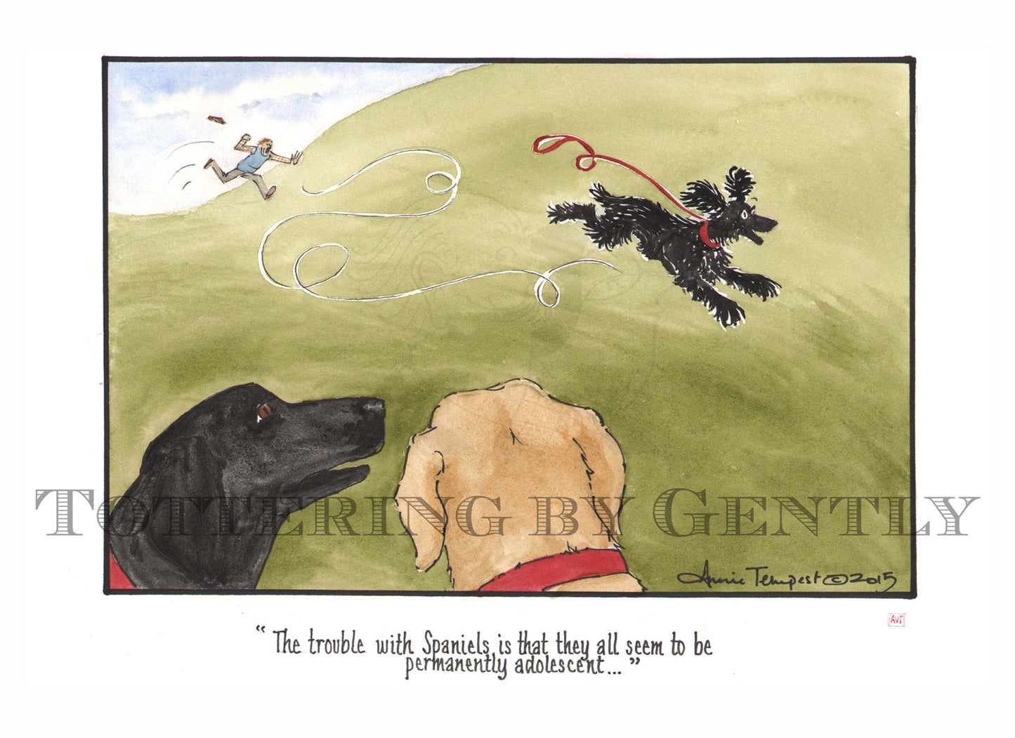S1370 The trouble with Spaniels