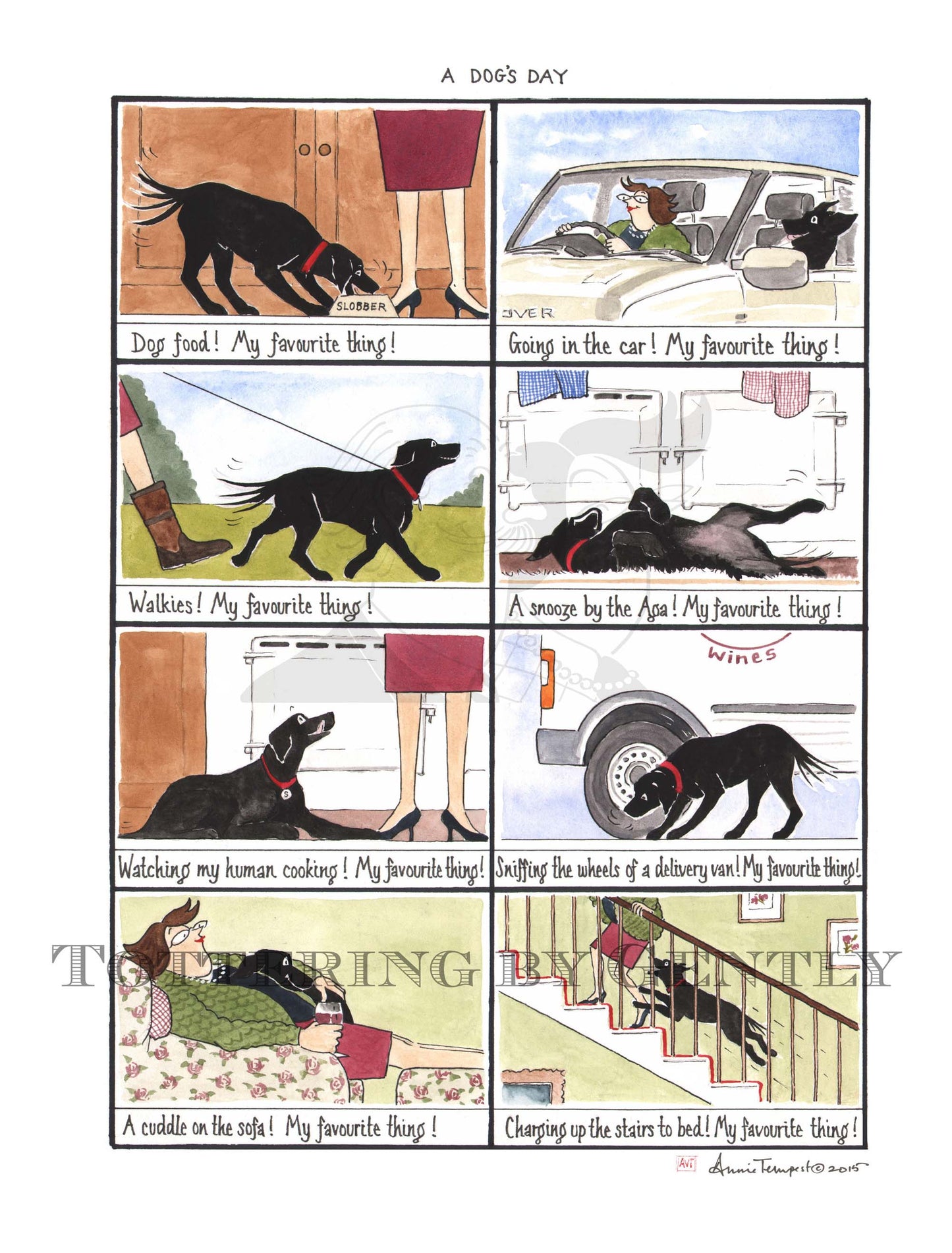 S1387 A Dog's Day