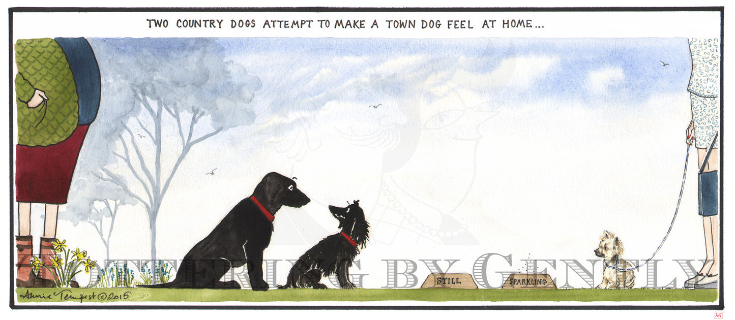 CL1088 Country & Town dog