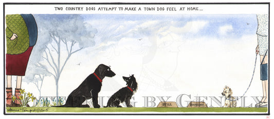 CL1088 Country & Town dog