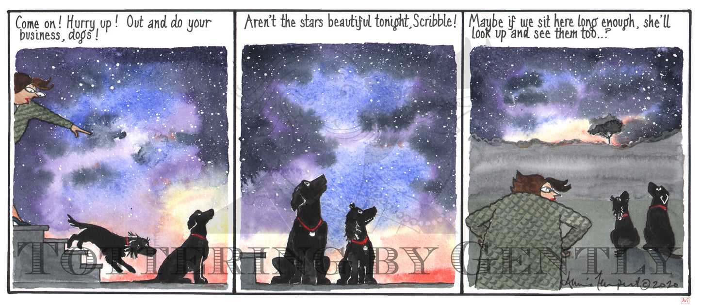 CL1368 Aren't the stars beautiful