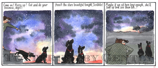 CL1368 Aren't the stars beautiful