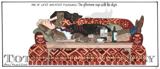 CL1524 Nap with the dogs