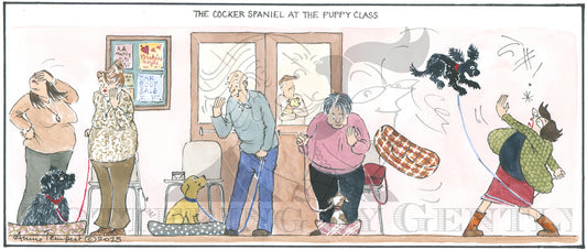 CL1592 Spaniel at Puppy class