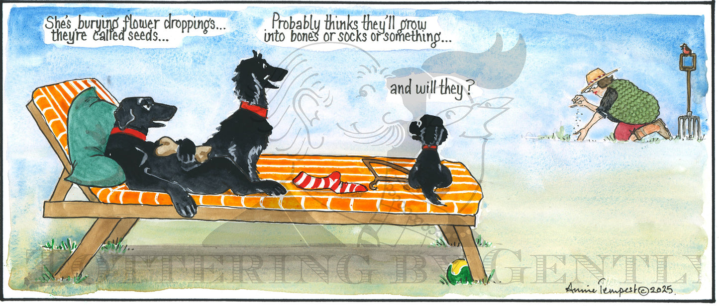 CL 1609 Dogs view of gardening