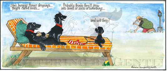CL 1609 Dogs view of gardening