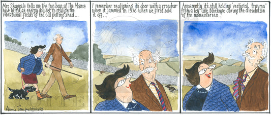 CL 1622 The Manse Potting shed