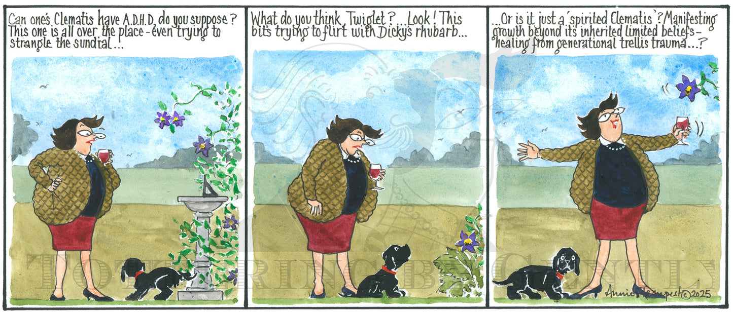 CL 1623 Woo woo Clematis