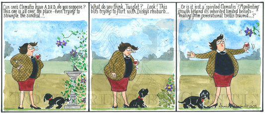 CL 1623 Woo woo Clematis