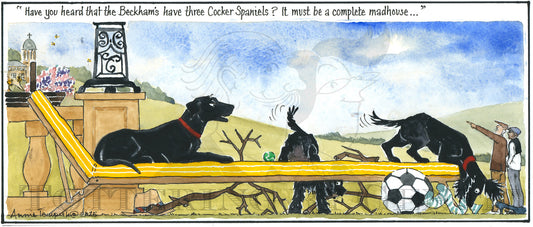 CL 1627 Beckham's Spaniels