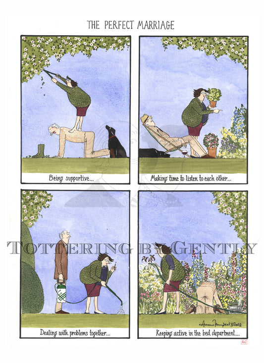 S0821 The Perfect Marriage