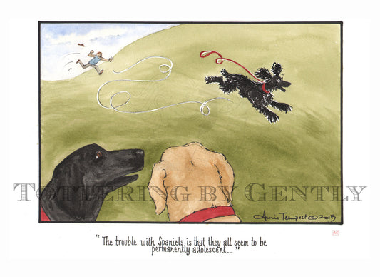 S1370 The trouble with Spaniels