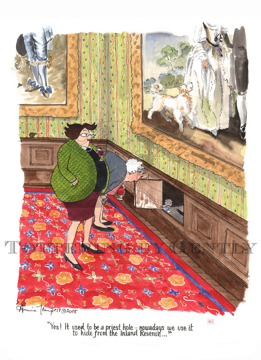 S1529 Hide from Inland Revenue